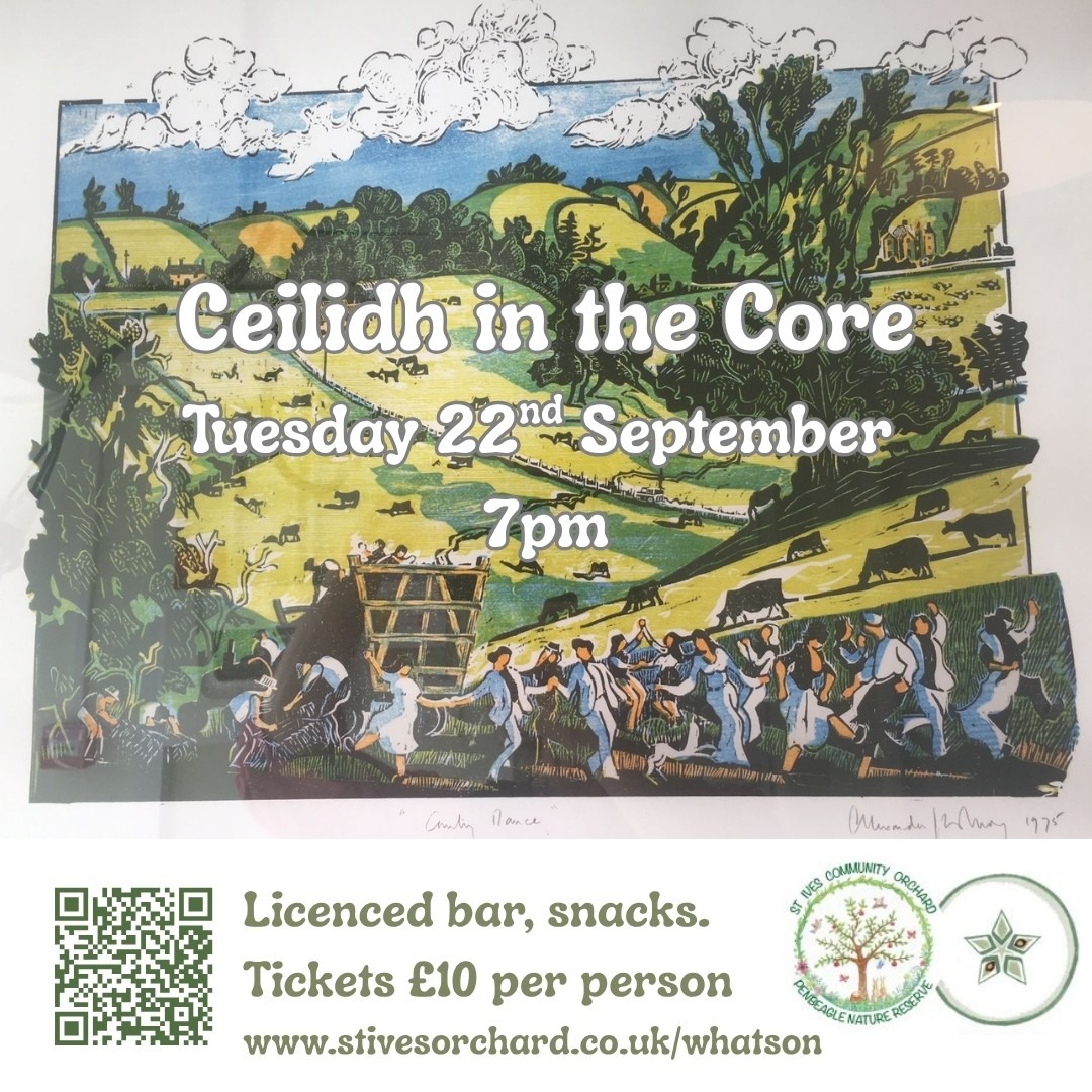 ceilidh in the core