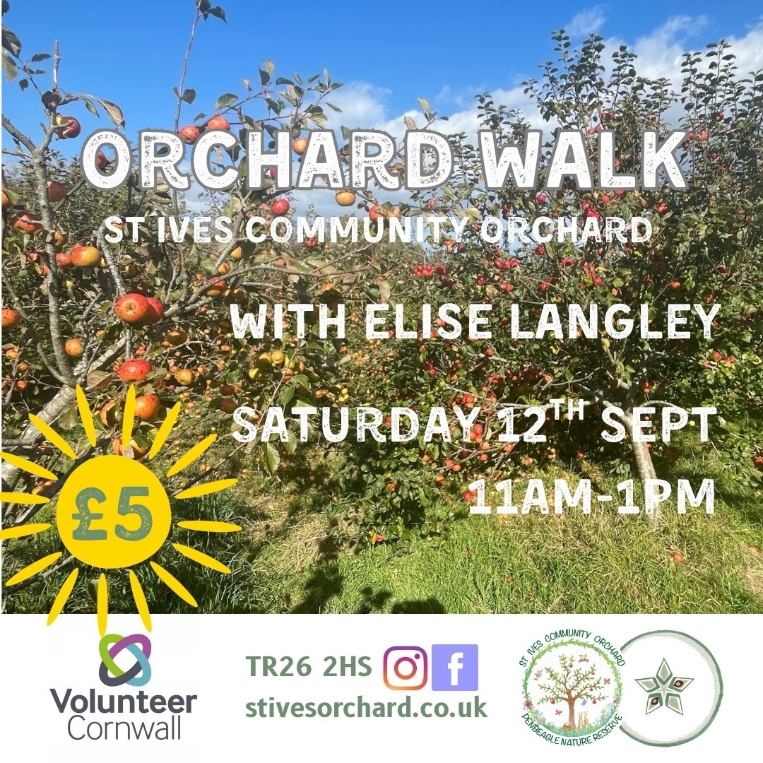 orchard walk