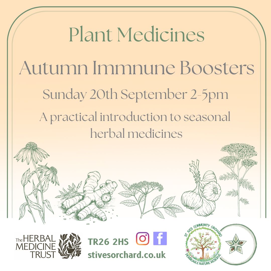 plant medicines